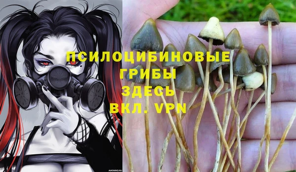 COCAINE Балахна